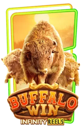 Buffalo-Win 005